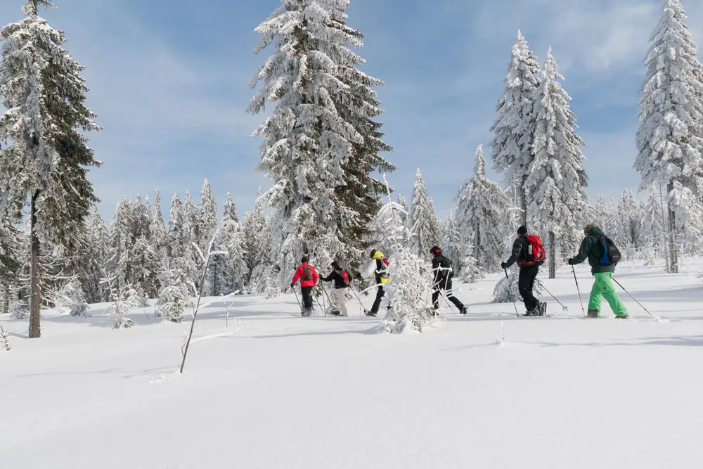 Schneeschuhwandern___7001217_