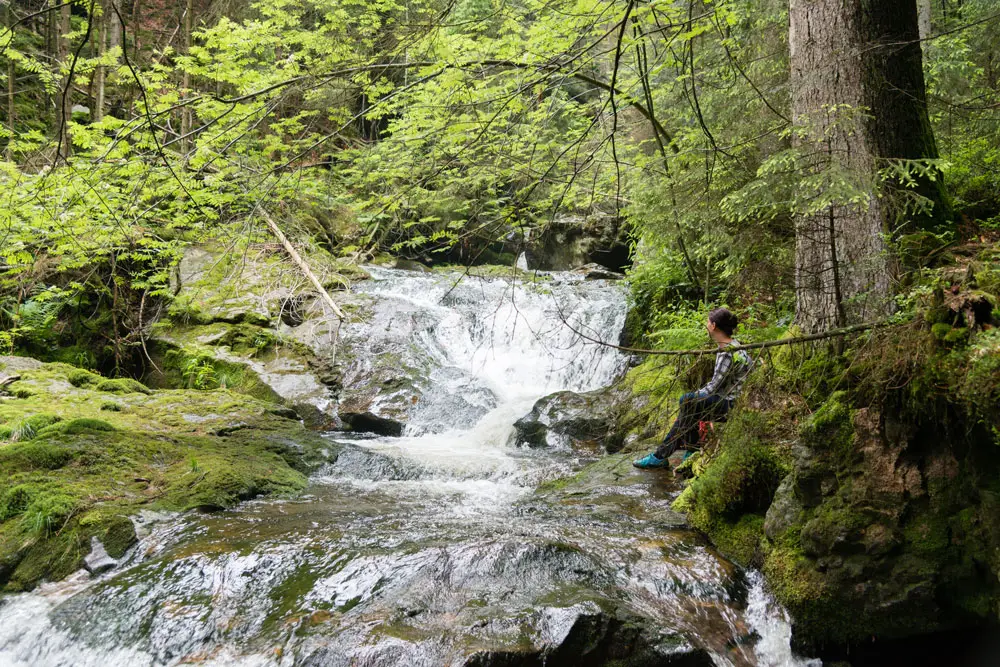 am_Wildbach___8005293_