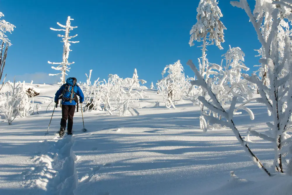 schneeschuhwandern__DSC_6888_